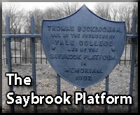 Saybrook Platform